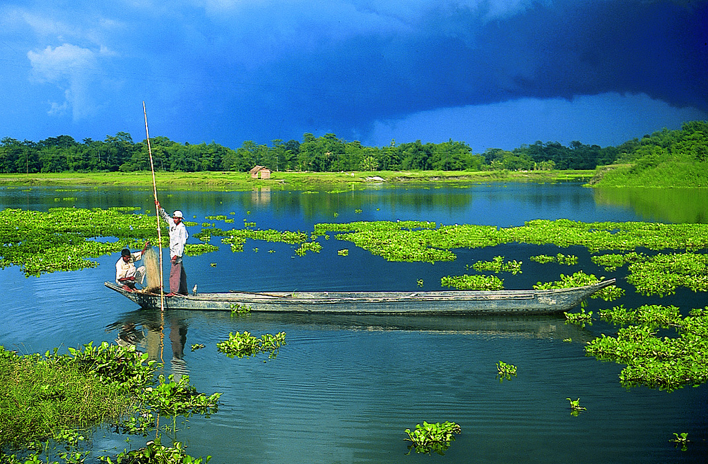 Dehing Patkai National Park,Assam